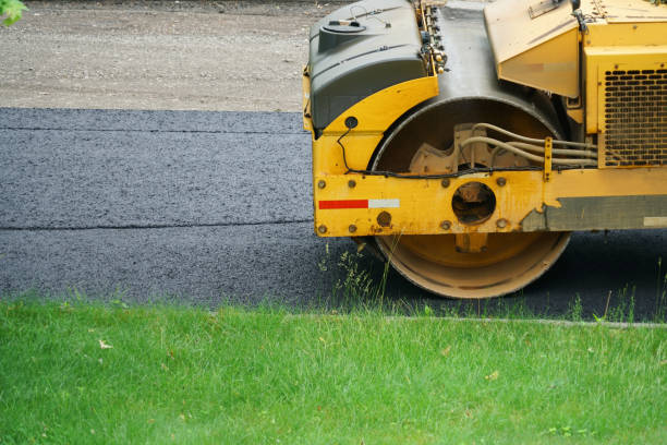 Best Professional Driveway Pavers  in Robesonia, PA